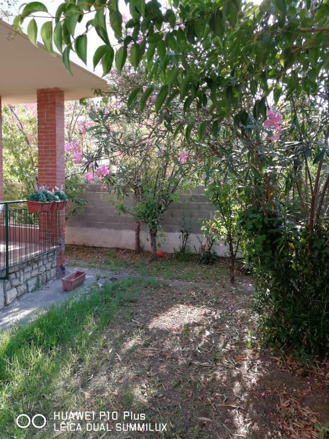 Villa Galilei Rooms Піза Екстер'єр фото